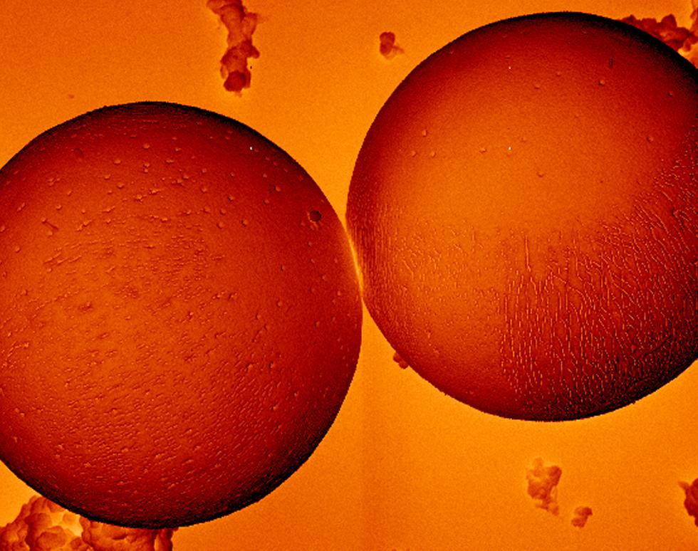 Colliding Oranges - Andrew Treharne